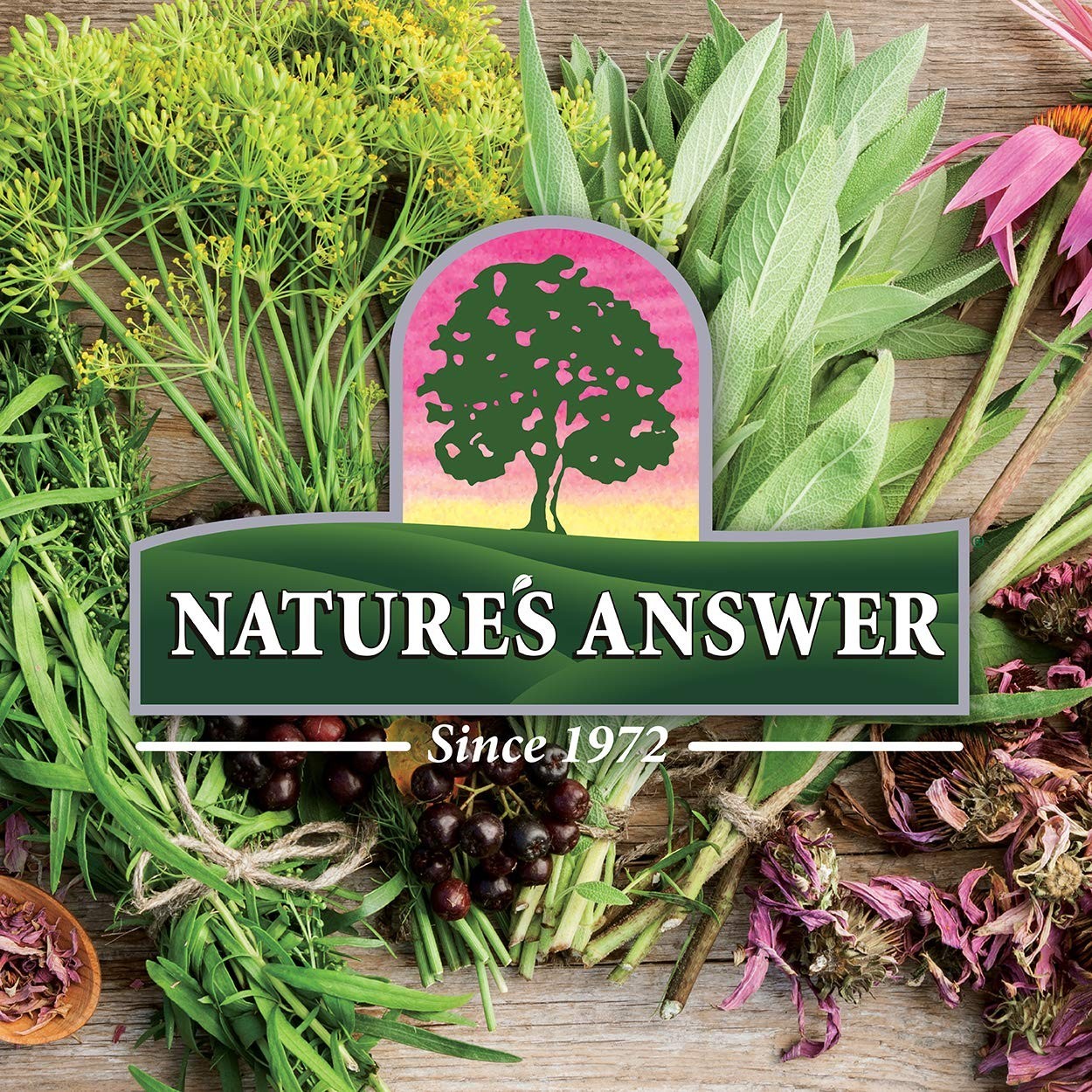 Nature’s Answer Black Walnut & Wormwood 1oz – Enhances Gut & Overall Health