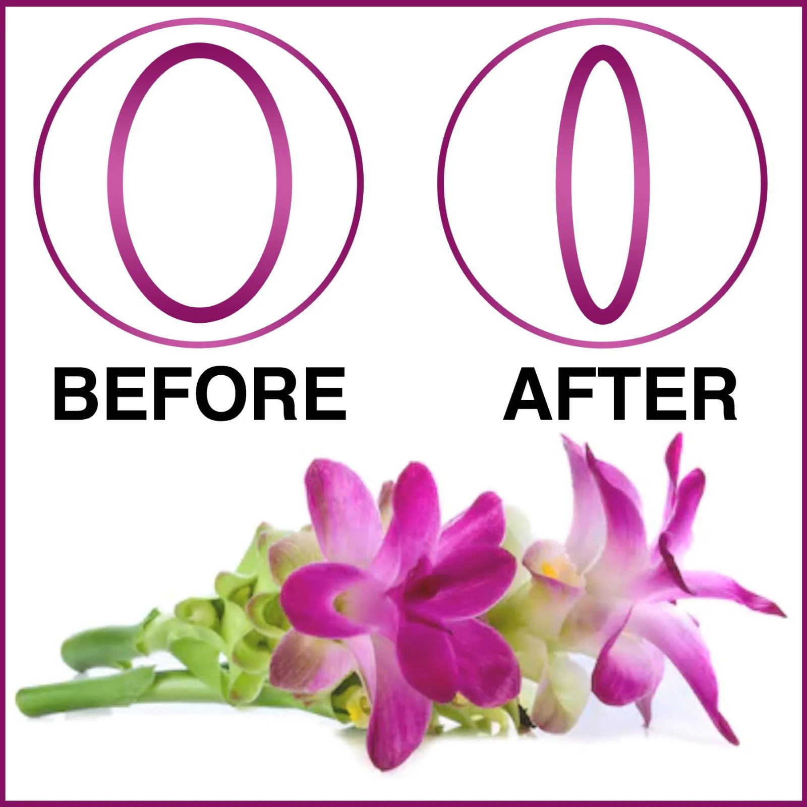 Curcuma Comosa Pills Tightening Stop ODOR PMS Vaginal Wall Tighten 60 cap