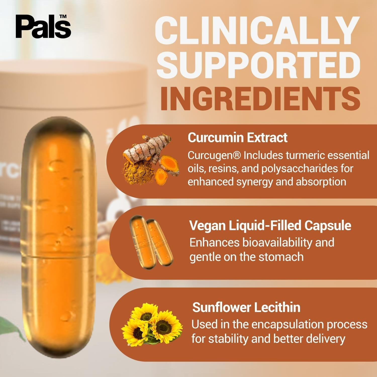 Pals Curcumin – 500mg – 60 Liquid Capsules – 05/2027