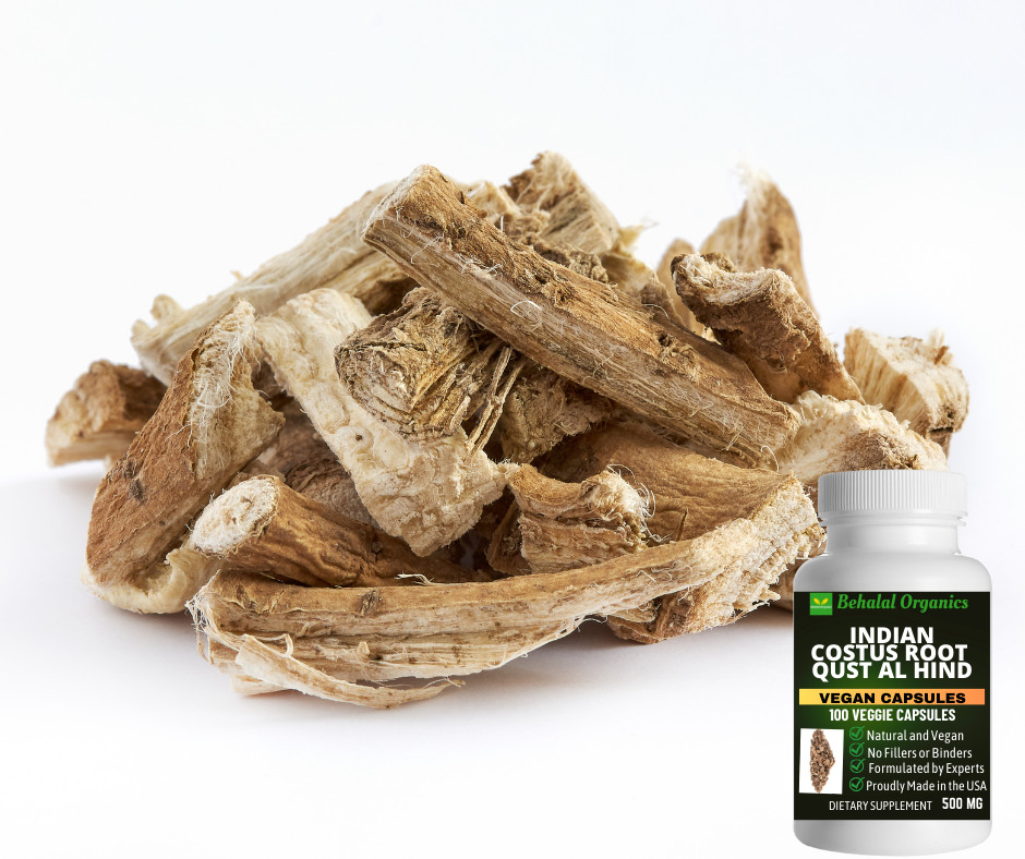 Indian costus 500mg Qust al Hind 100 veg capsules