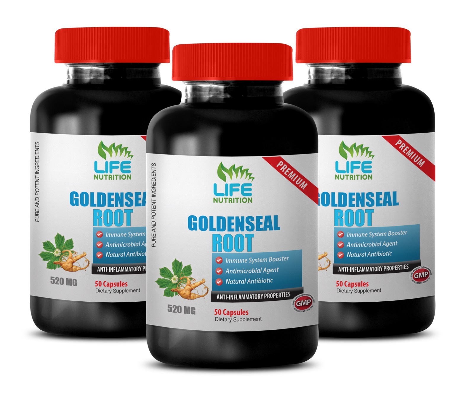 immune system booster – Goldenseal Root Extract 520mg – immune-boosting 3B