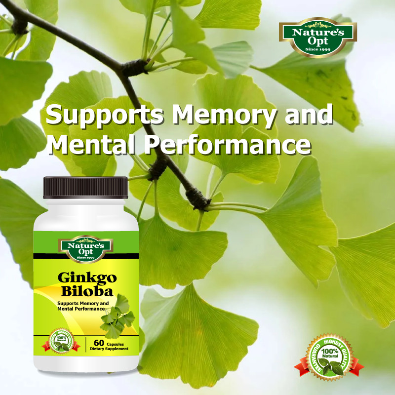 Ginkgo Biloba, Supports Memory and Mental Performance