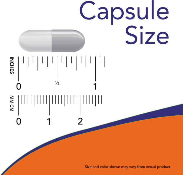 NOW Foods L-Tyrosine 500 mg 120 Caps Neurotransmitter Support 2/26EXP