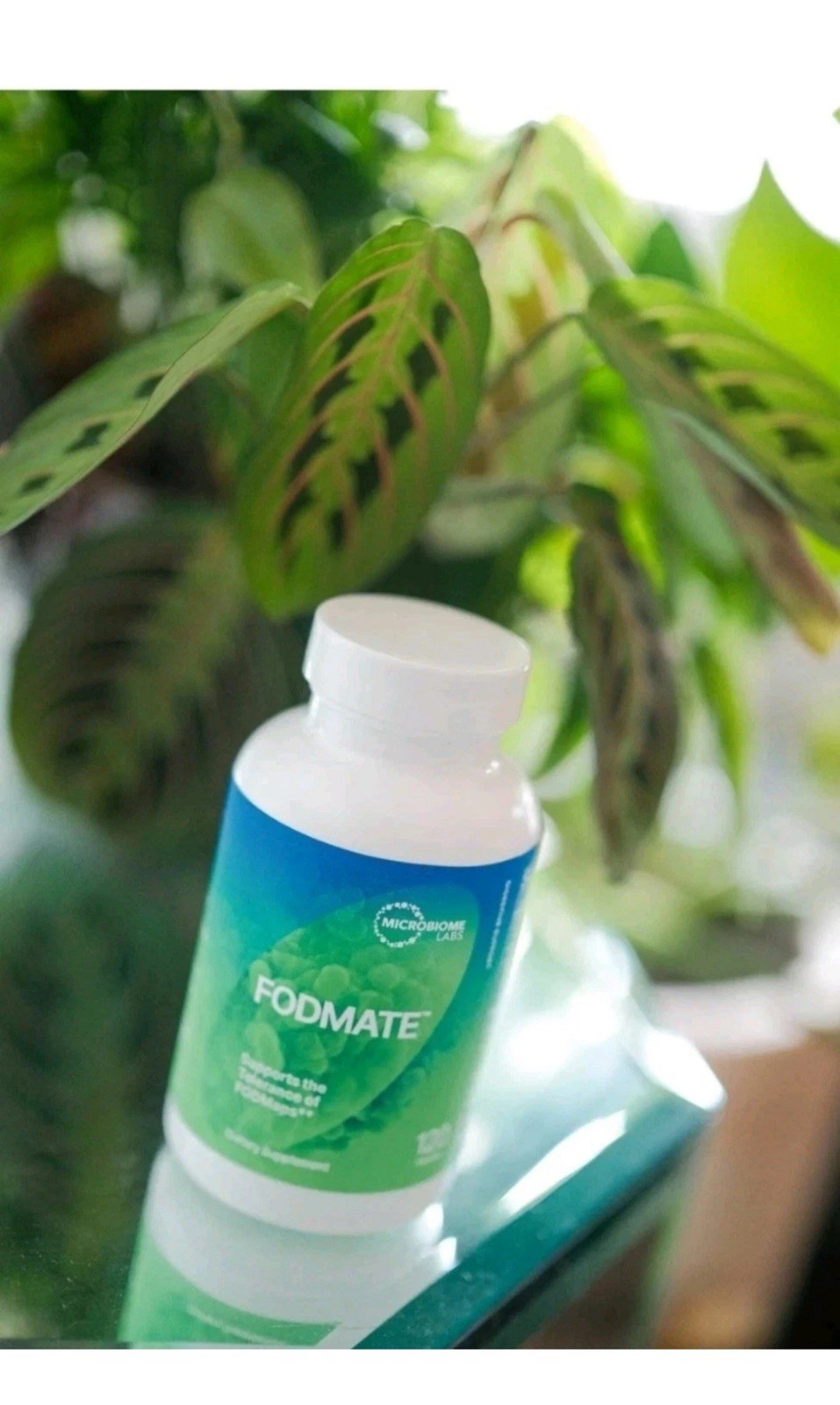 Microbiome Labs FODMate 120 Caps Supports Digestive Comfort and Relief #410