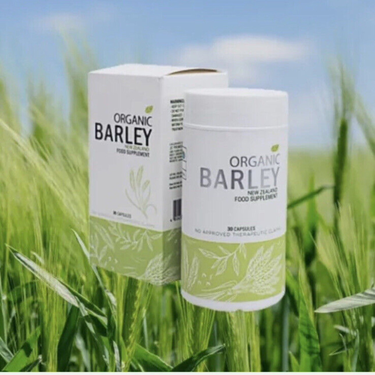Bundled JC Organic barley Powder juice and JC Organic barley Capsules