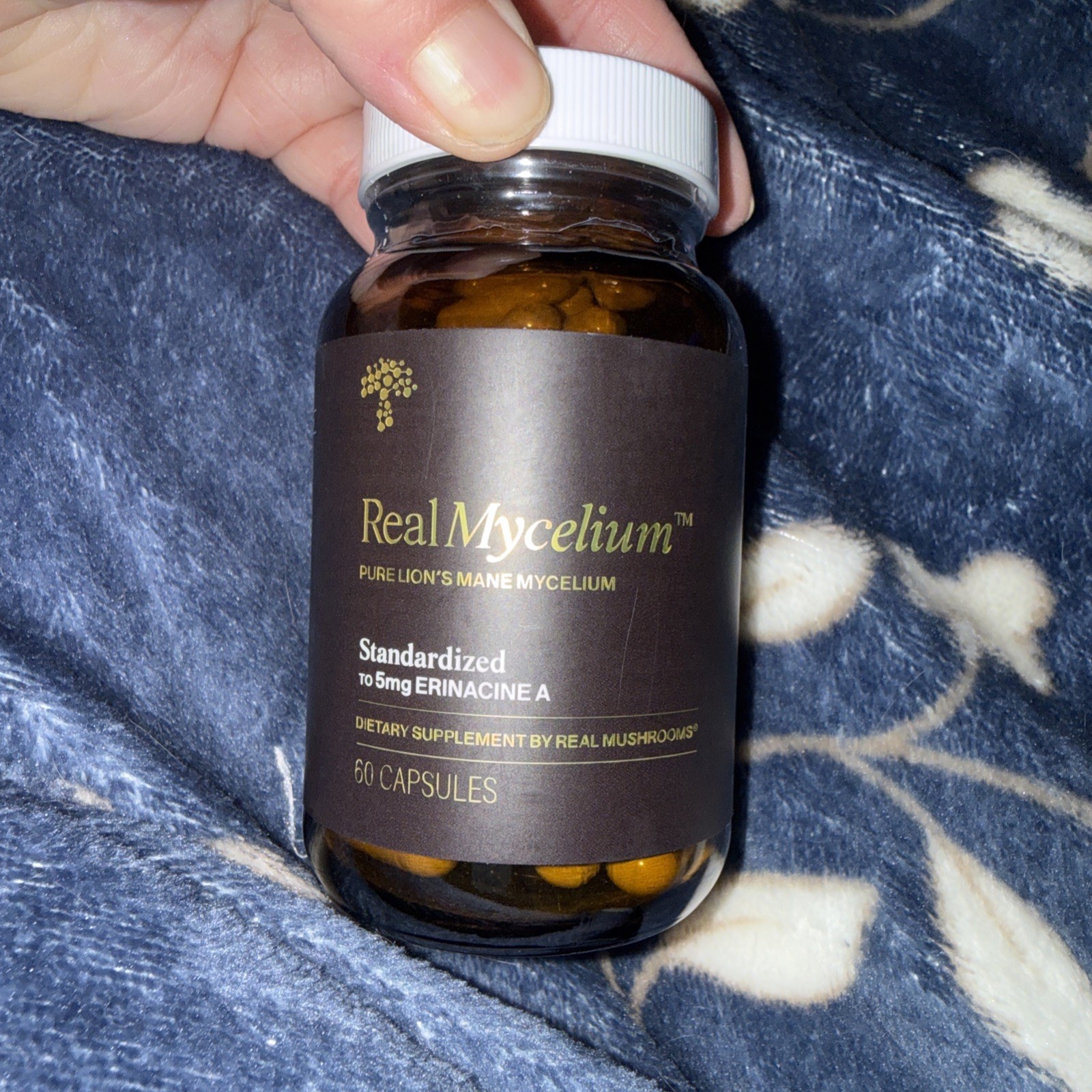 Real Mushrooms Real Mycelium Lion Mane Memory Mental Clarity 60 Count Exp 12/28