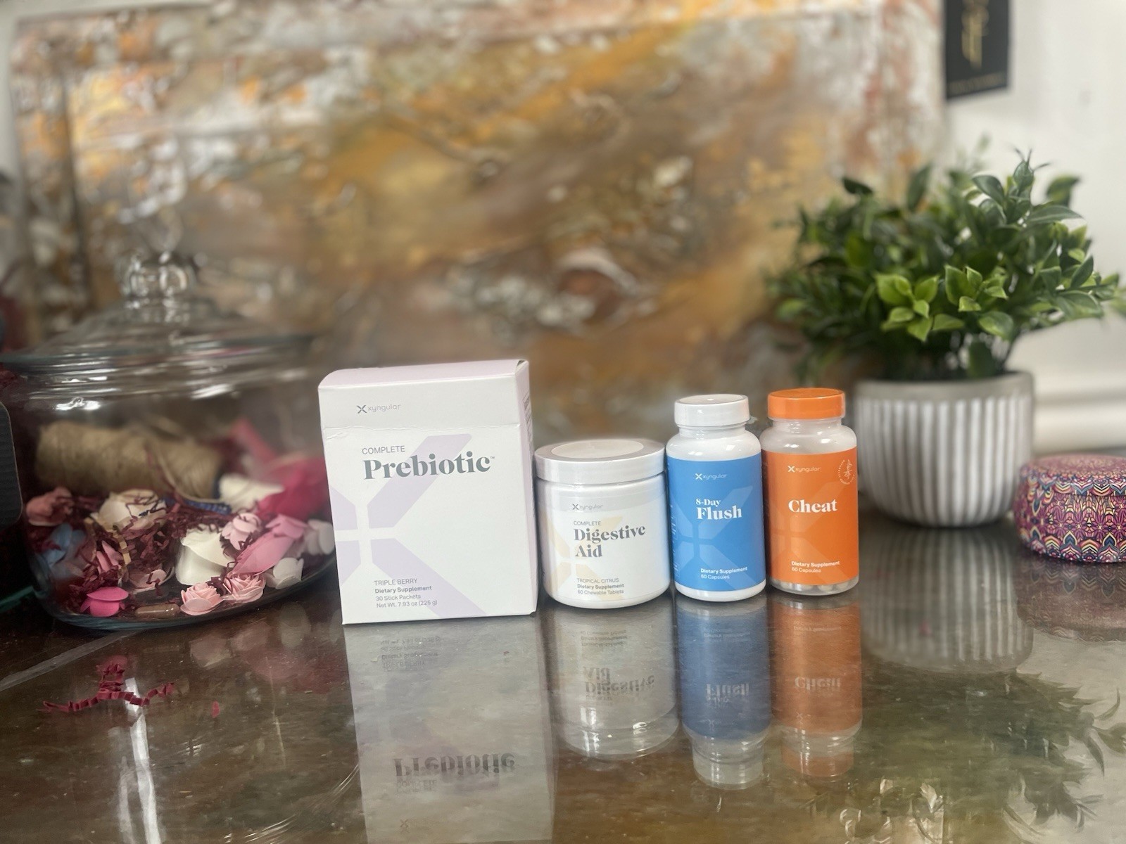 Lot Of Xyngular PREBIOTIC, FLUSH , CHEAT & DIGESTIVE AID 3/26-05/26 (4 Total)
