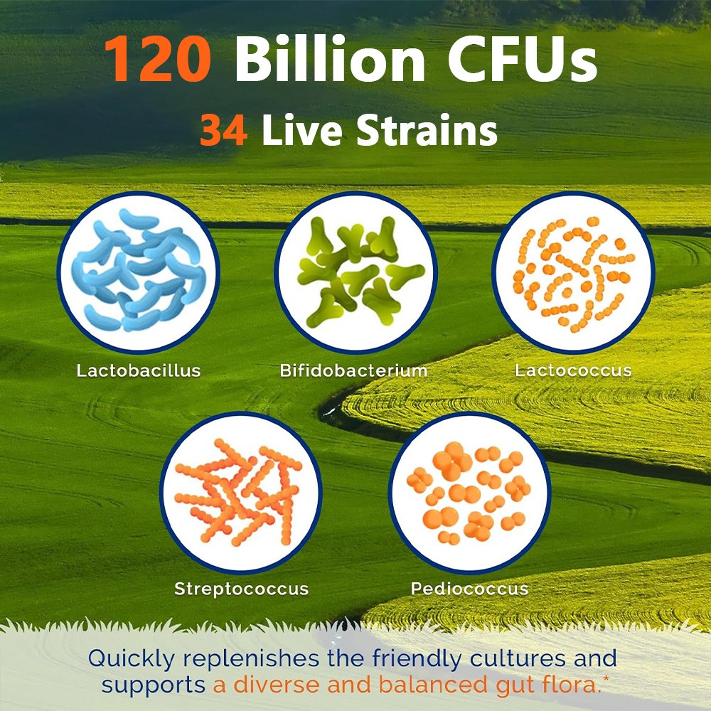 Probiotics Capsules 120 Billion CFUs 34 Strains Improve Immune Digestive Health
