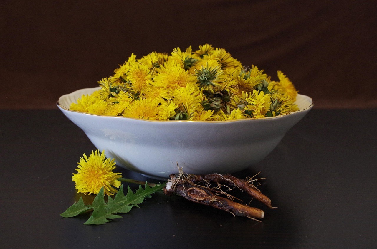 Dandelion Root Powder Capsules | Herbal Supplemen – 5:1 Extract – 100 Capsules