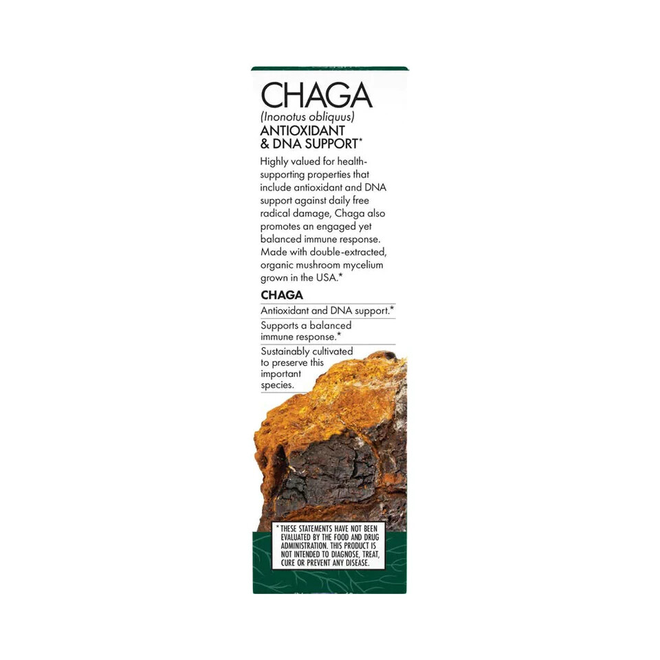 Host Defense Chaga Extract 1 Oz Organic Antioxidant Support Fungi Perfecti