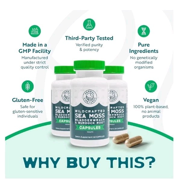 Herbal Vineyards Sea Moss 1500mg 60 Capsules Bladderwrack & Burdock Vegan