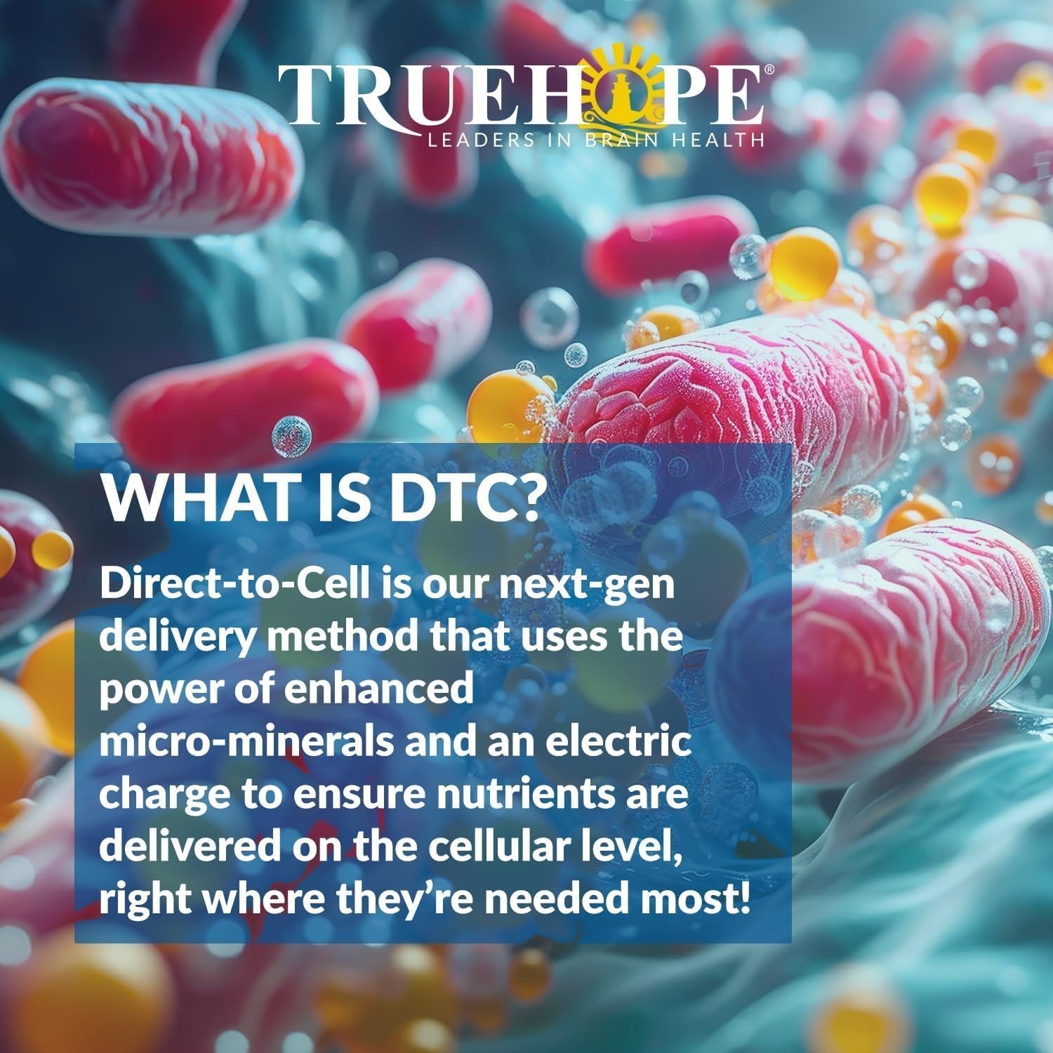 Truehope EMPowerplus Ultimate | Brain, Energy & Focus (Official Listing)