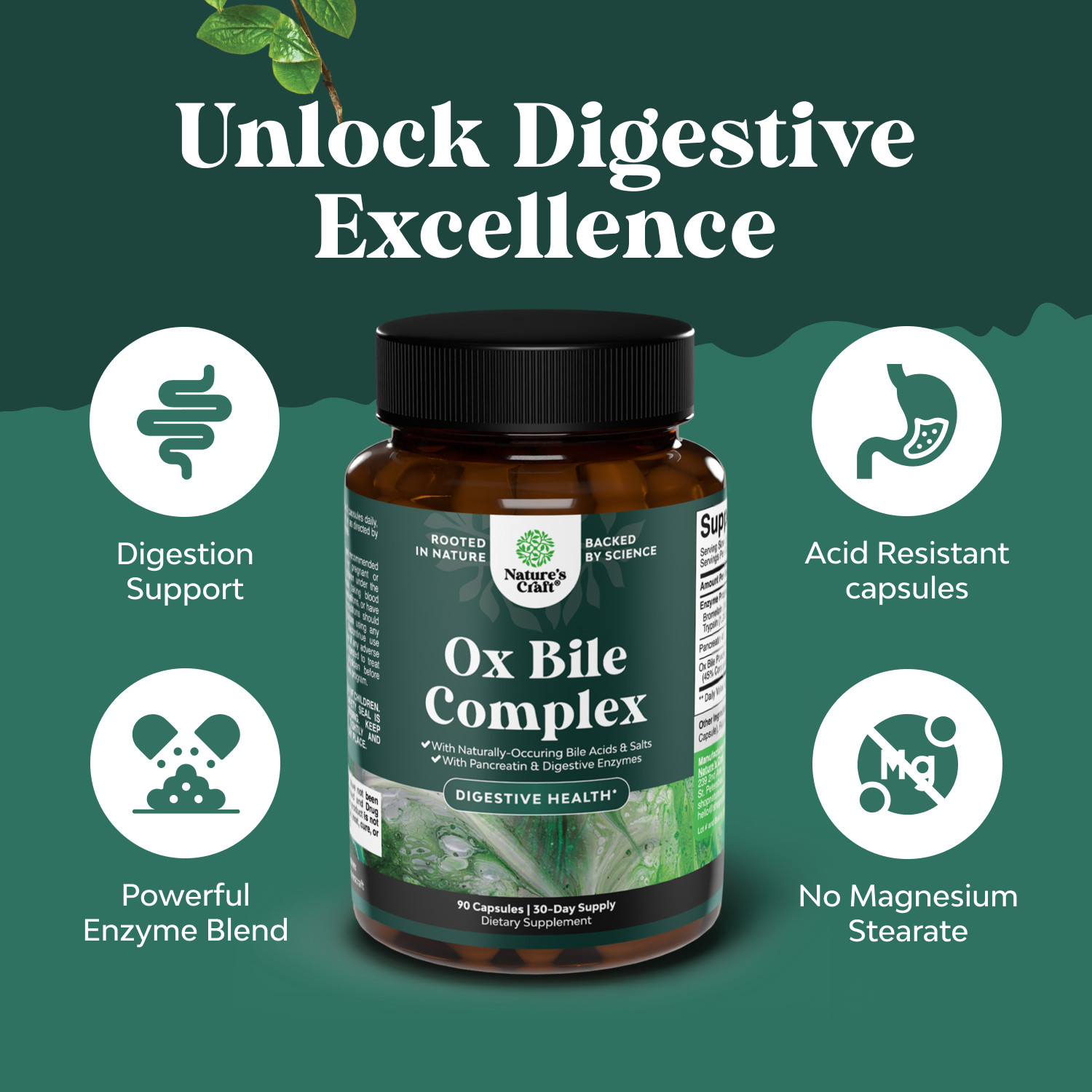 Digestive Enzymes with Ox Bile Supplement – Purified Bile Salts for Digestion