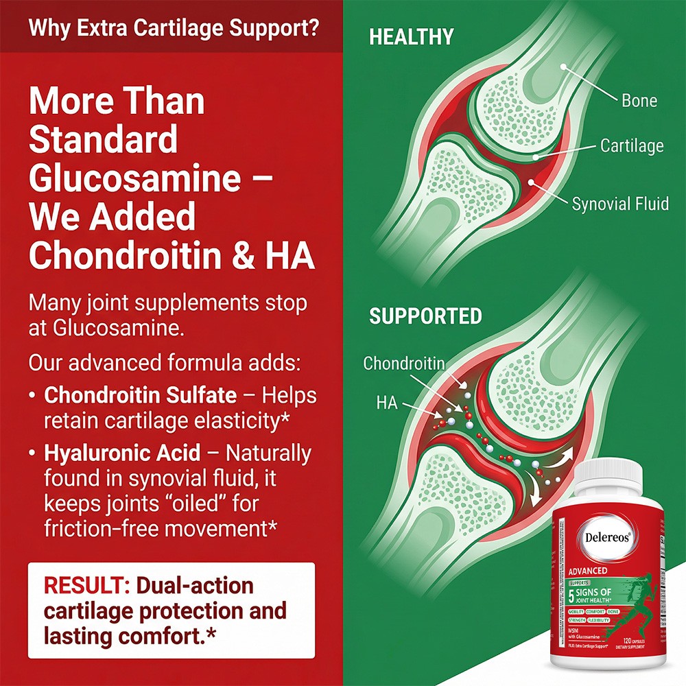 5-in-1 Joint & Bone Support Active Lifestyles & Daily Comfort 30/60/120 Capsules