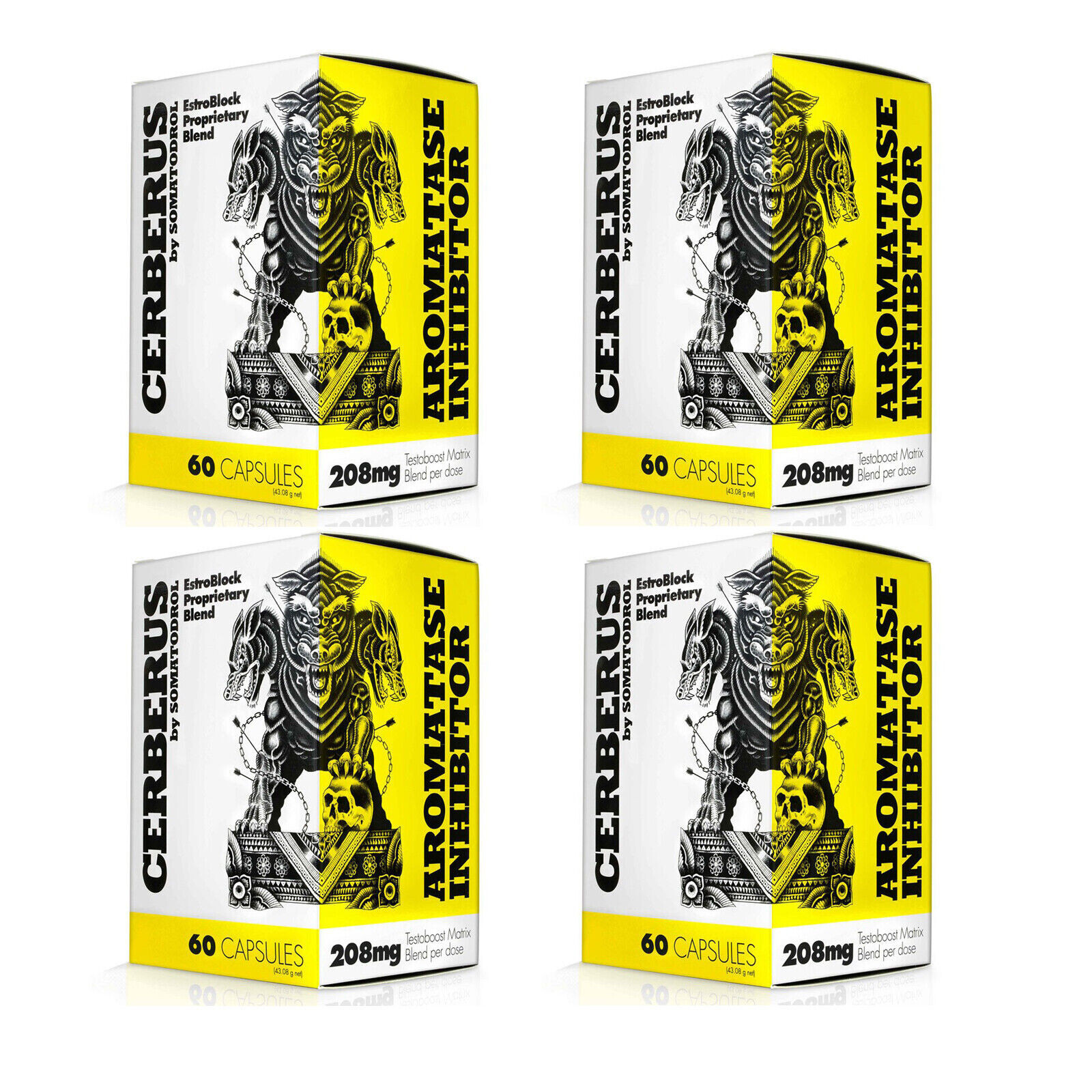 CERBERUS – 60 Capsules – Natural testosterone booster muscle strength recovery