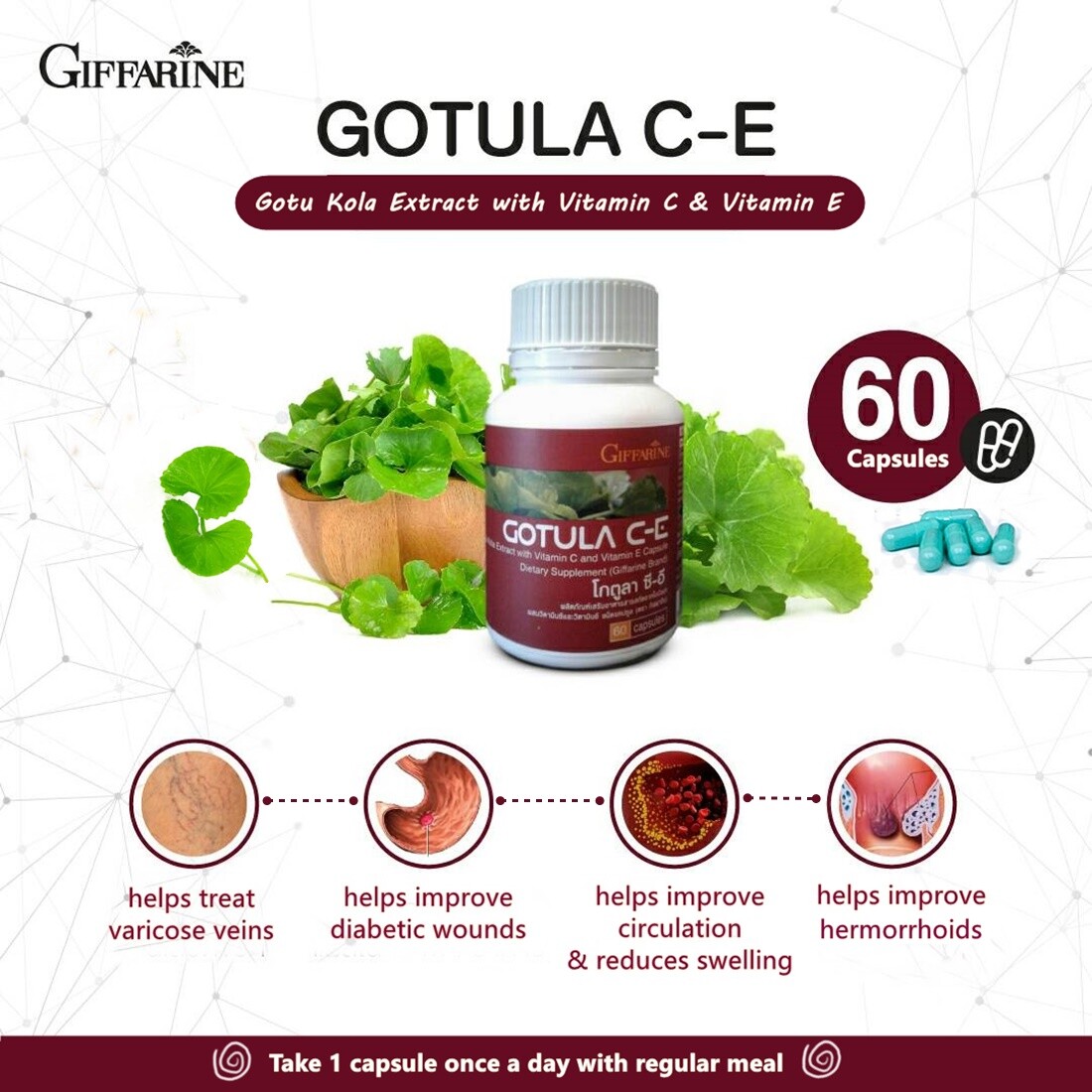GOTULA CE_Cognitive Function_Varicose Veins_Ulcer_Hemorrhoids GIFFARINE 60Caps