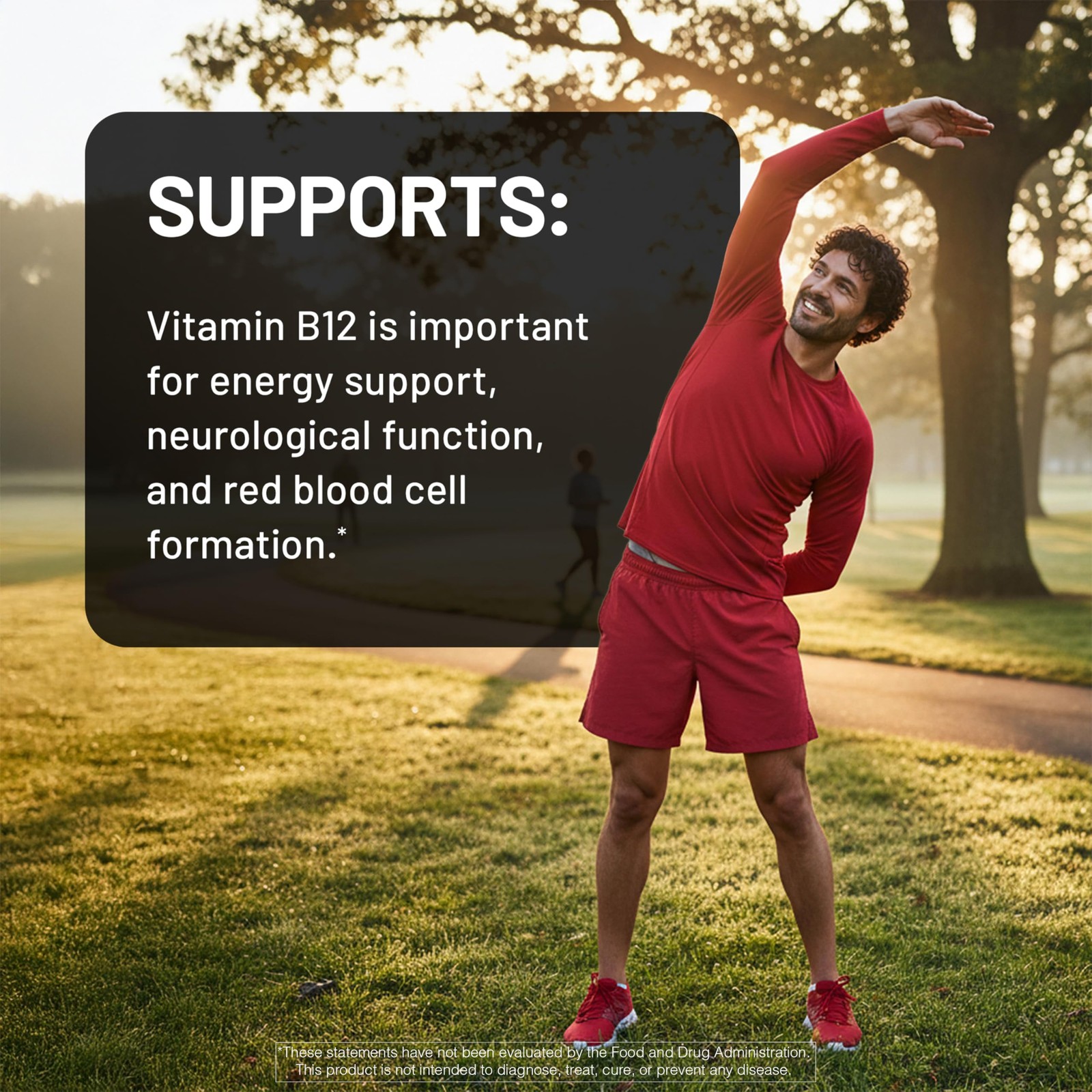 NatureWise Vitamin B12 Extra Strength 2500mcg – 60 Count (Pack of 1), Red