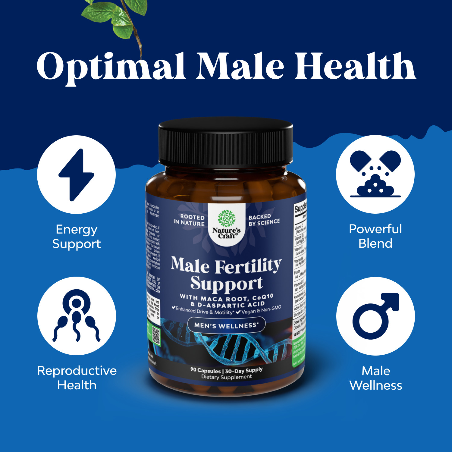 Prenatal Multivitamin Male Fertility Supplement 90ct – Mens Fertility Vitamins