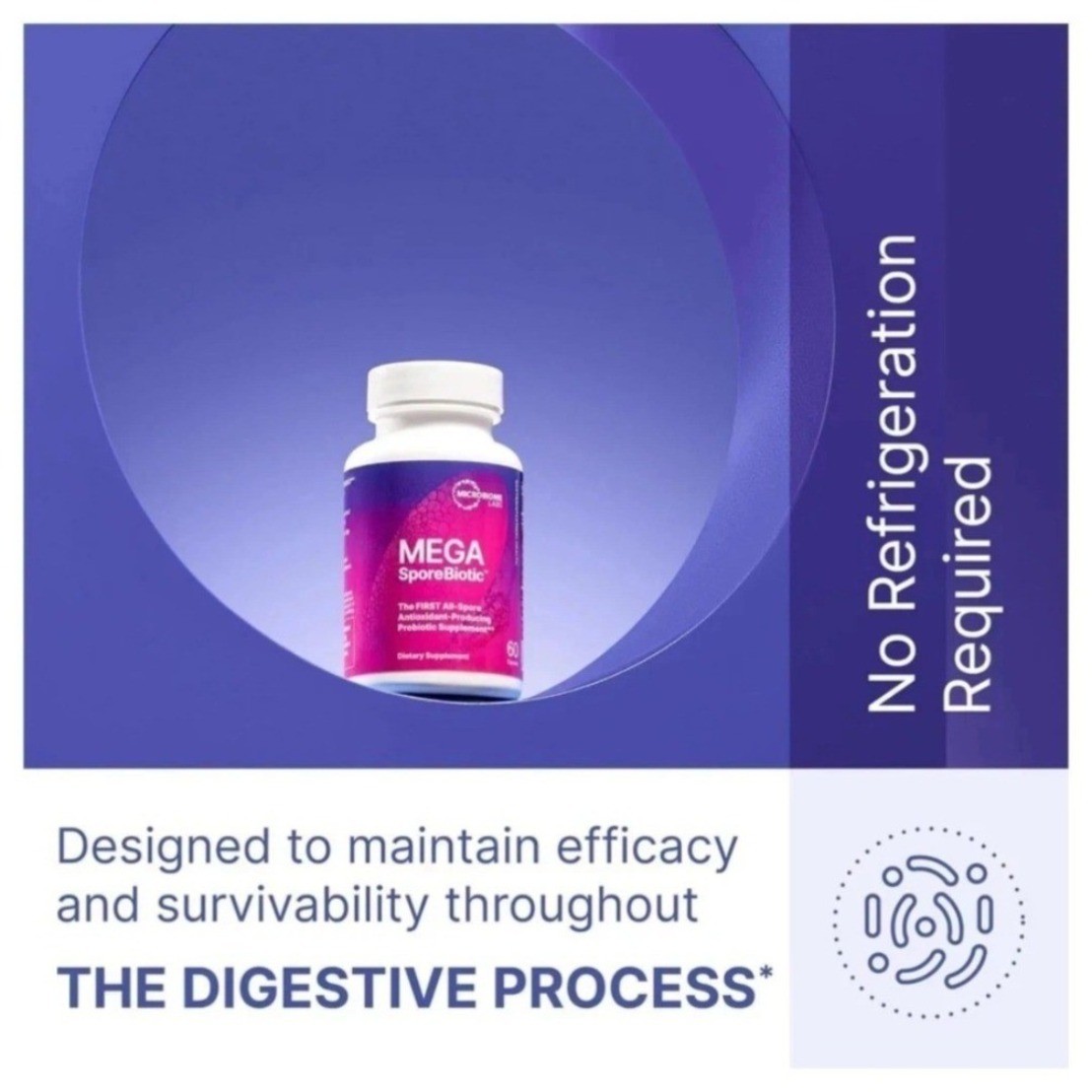 New Hot Gut Probiotic Men Women