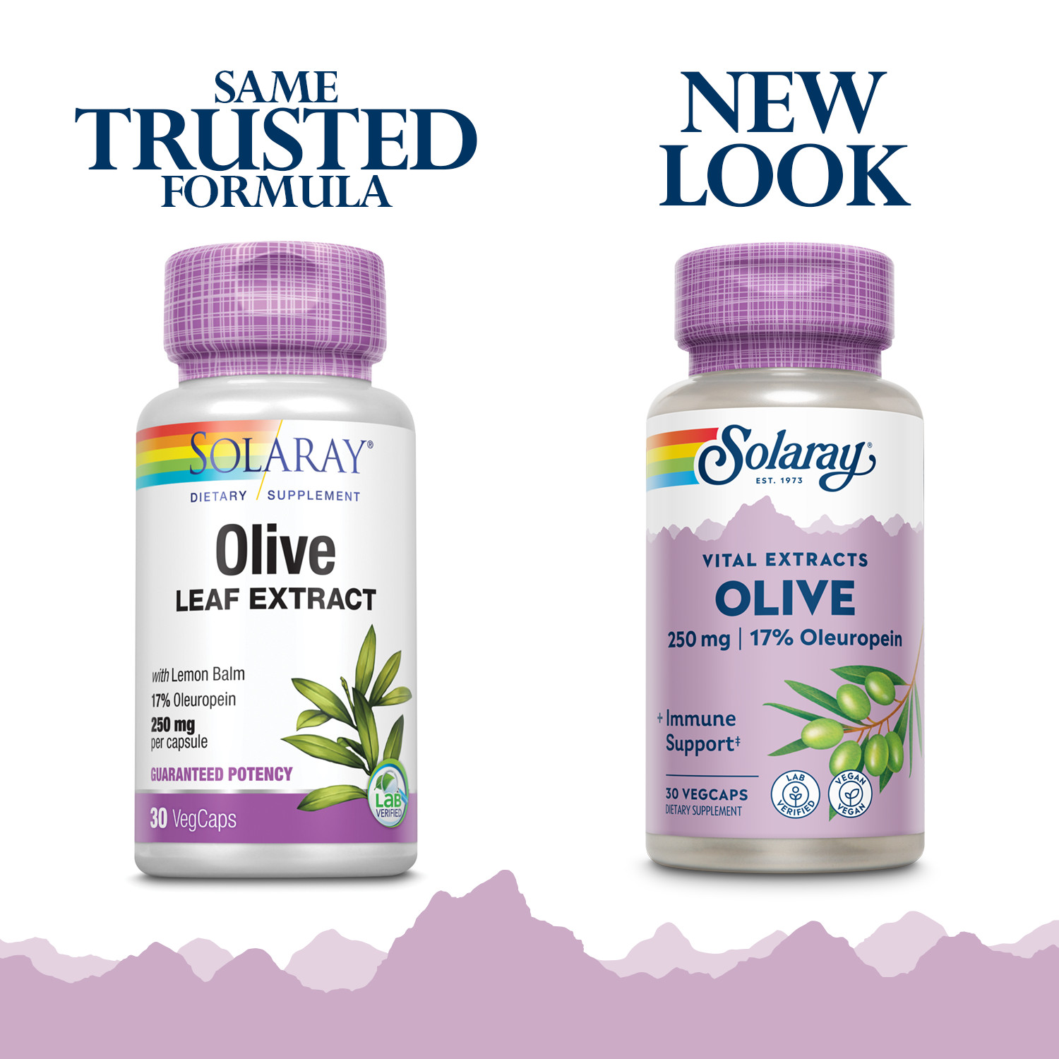 Solaray Guaranteed Potency Olive Leaf Extract, Veg Cap (Btl-Plastic) 250mg |