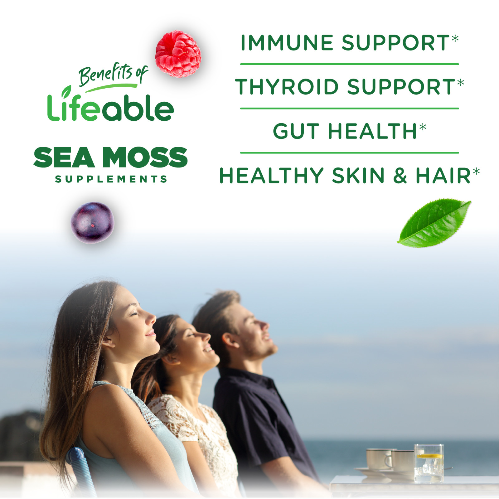 Lifeable Irish Sea Moss Gummies Bladderwrack Burdock Ashwagandha 60 Ct Vegan