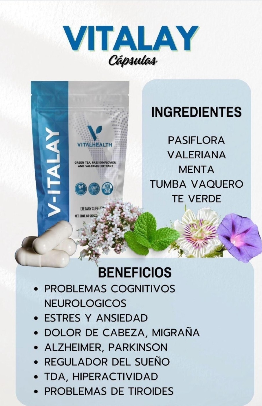 VitalHealth Vitalay Green Tea Passionflower Valerian 60 Caps Non-GMO