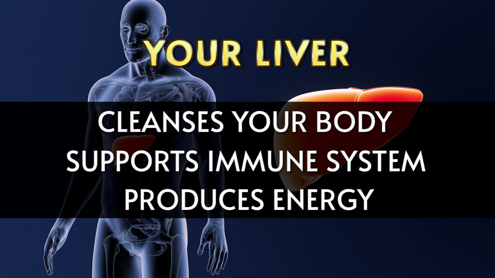 LIVERITE Liver Aid with Milk Thistle 150 150 Count (Pack of 1), Brown