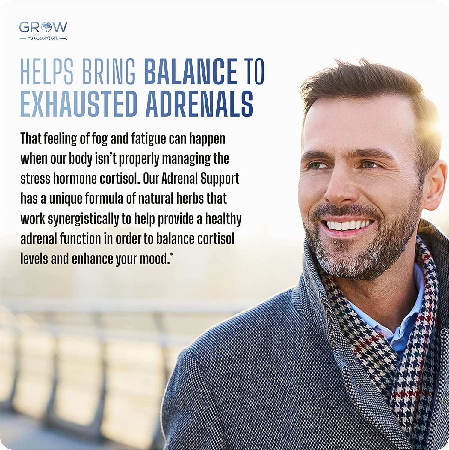 ADRENAL STRESS Ashwagandha ZenWell LiveWell Cognitive Brain Health 90 COUNT