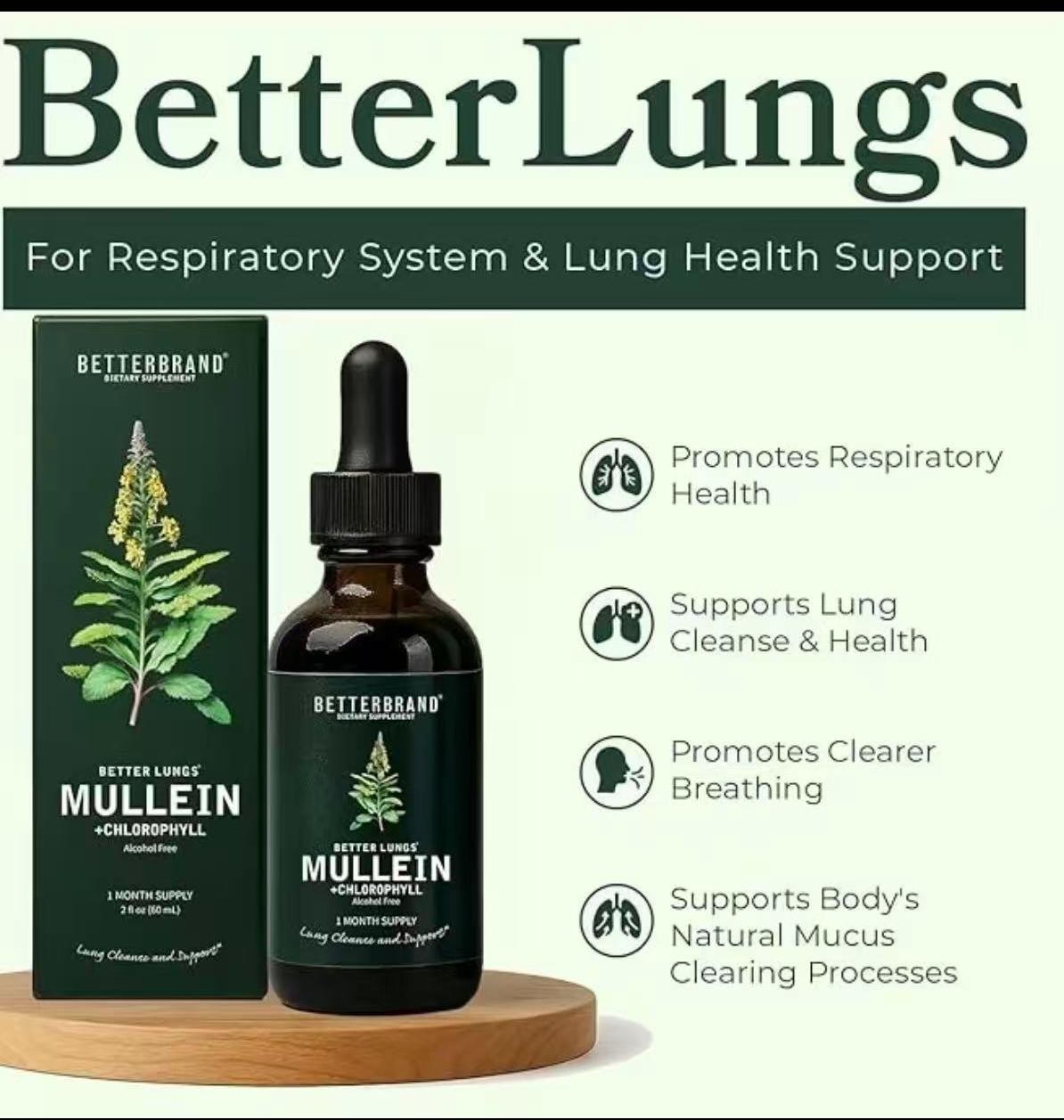 Drops Leaf & Chlorophyll Mullein for Lung Detox & Mucus Cleanse – 30 Servings