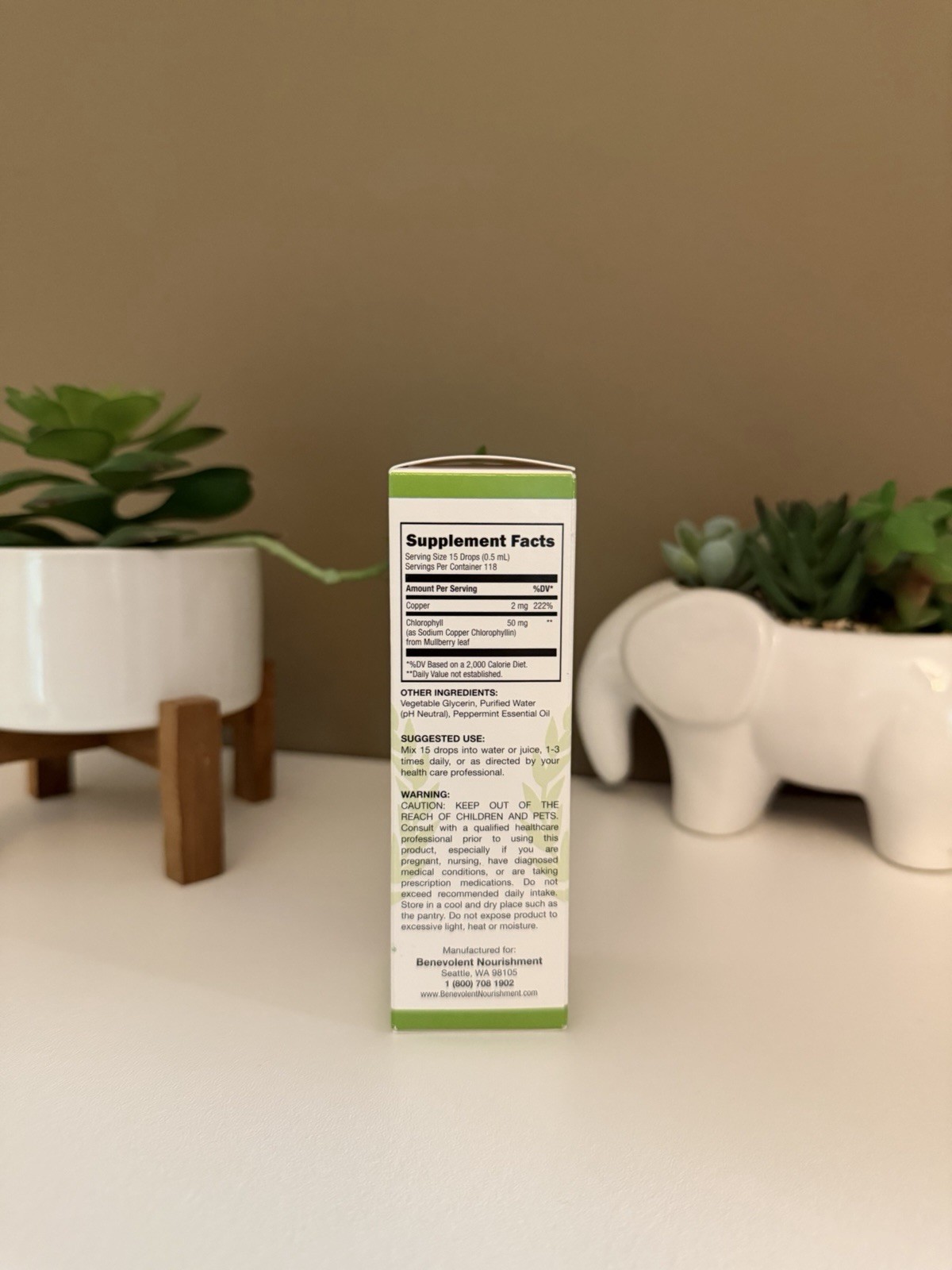 Benevolent Nourishment Liquid Chlorophyll Alcohol Free Peppermint 2 fl oz