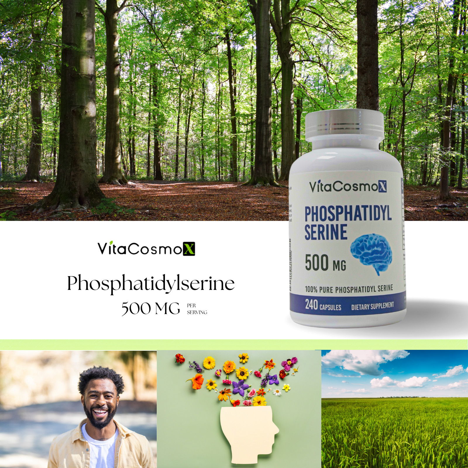 VitaCosmoX Phosphatidylserine 500mg, 240 Capsules, 120 Servings, Soy Free