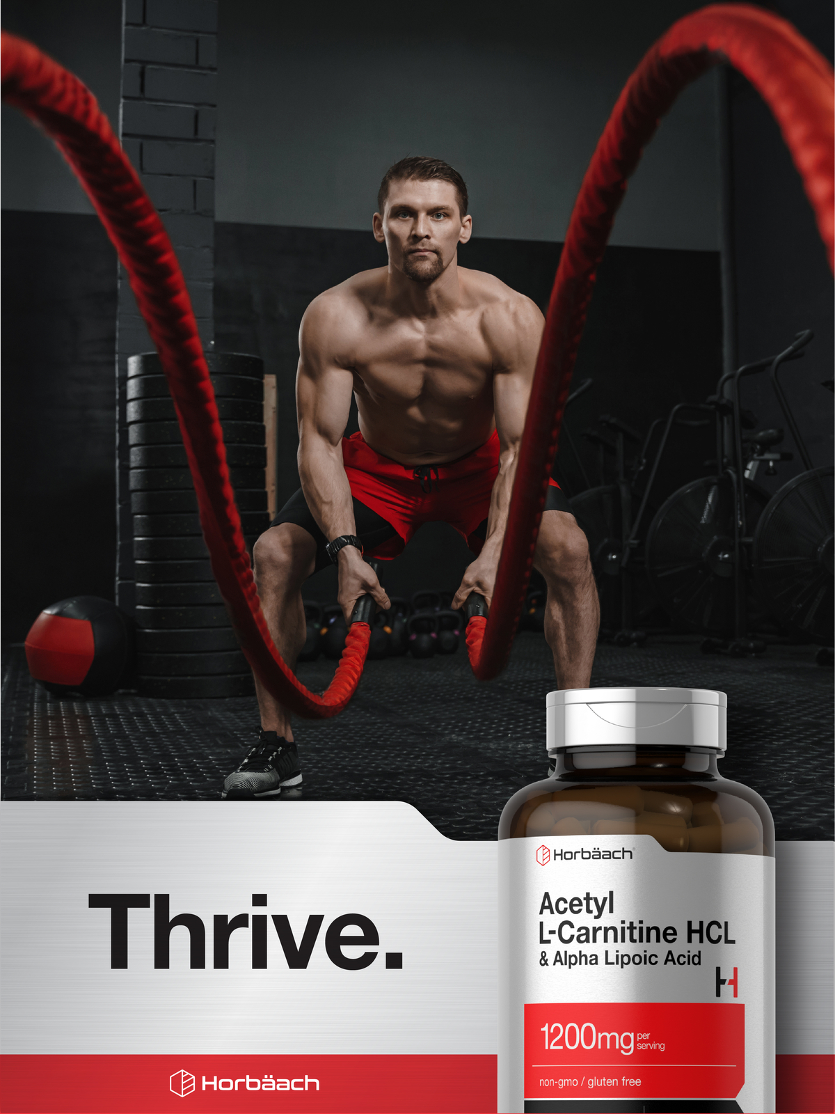 Acetyl L Carnitine HCL & Alpha Lipoic Acid 1200mg | 120 Capsules | by Horbaach