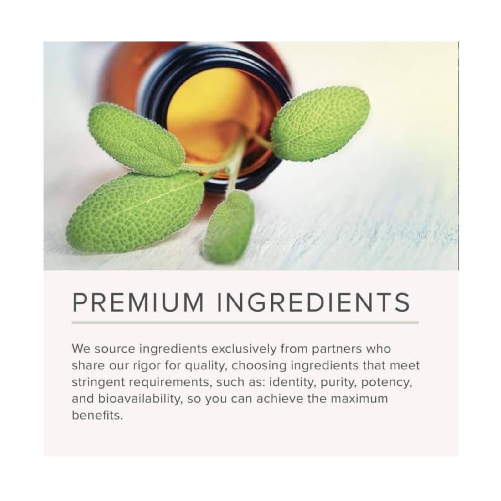 NusaPure African Mango Extract 5,000 mg per Veggie Caps 180 Capsules (Non-GMO)