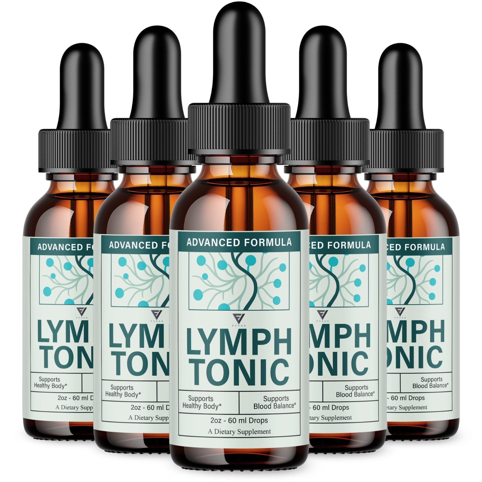 (5 Pack) Lymph Tonic Blood Support Drops, Lymphtonic Supplement (10 oz)