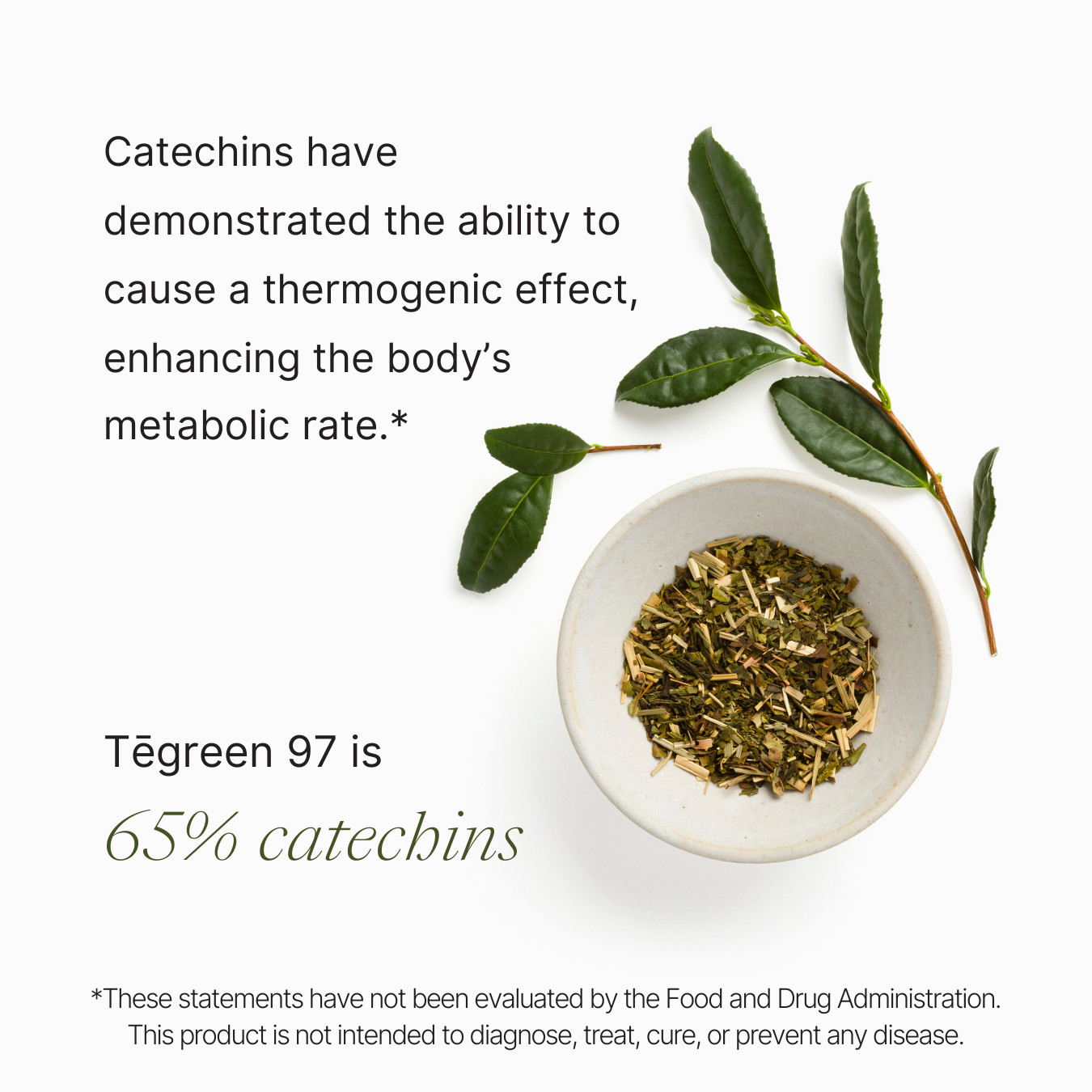 Nu Skin NuSkin Pharmanex Tegreen 97 120 Capsules Exp 10/2024 -NEW STOCK- SEALED