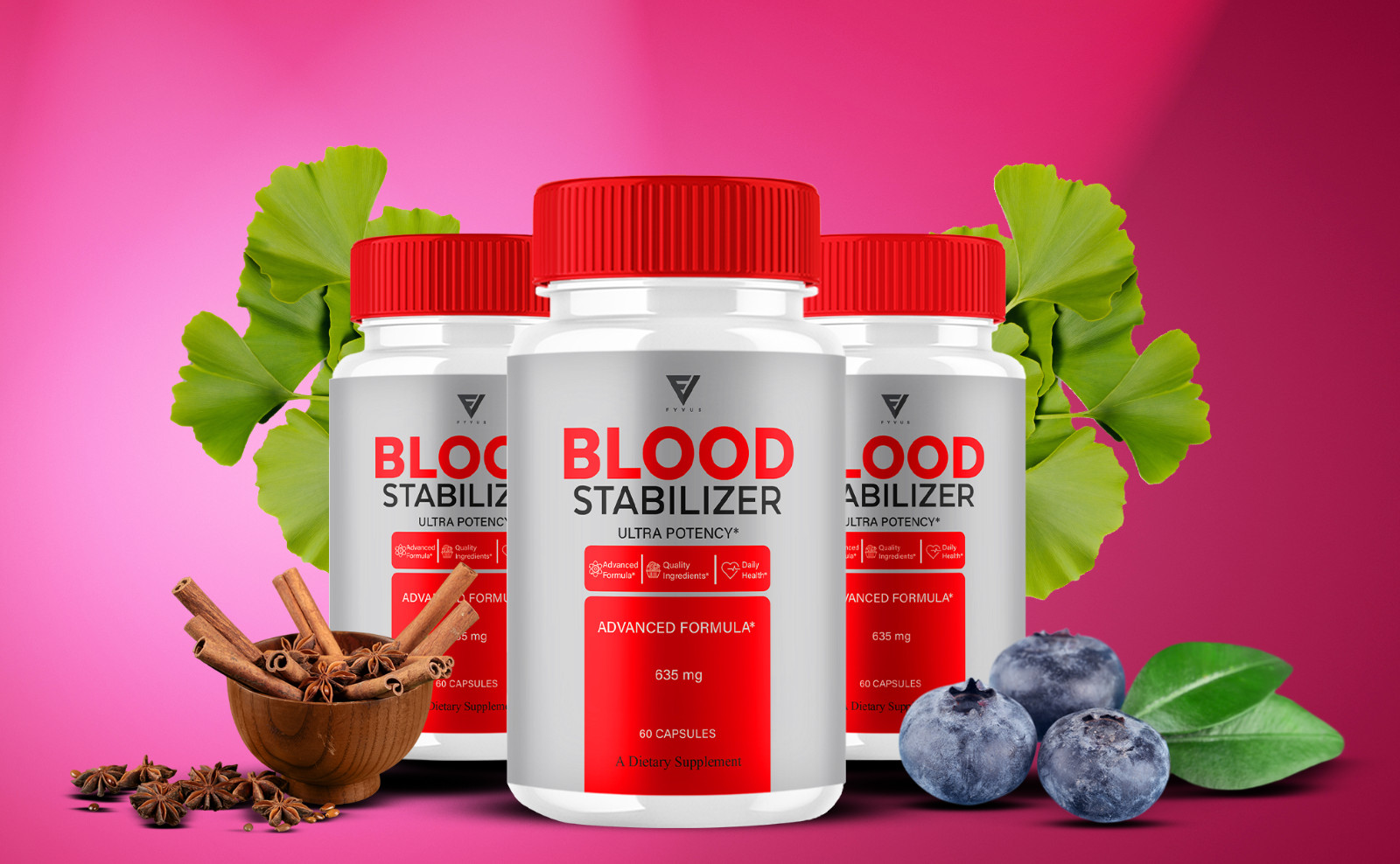 (5 Pack) Blood Stabilizer Support Pills, BloodStabilizer Max (300 Capsules)