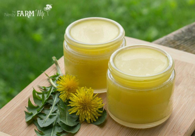Dandelion Leaf 10:1 Extract Powder | 4oz to 5lb | 100% Pure Natural Hand Crafted