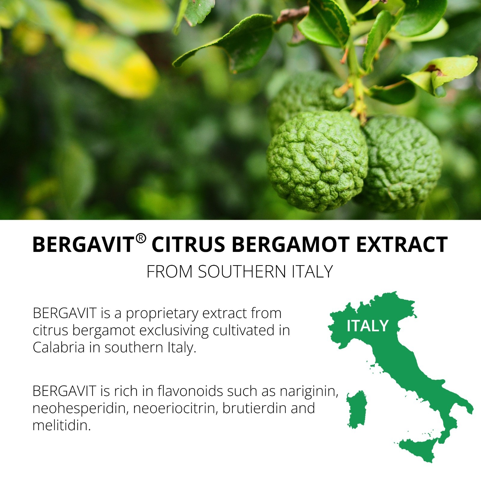 UpNourish Citrus Bergamot Supplement Lowering High Cholesterol 90 Vegan Capsules