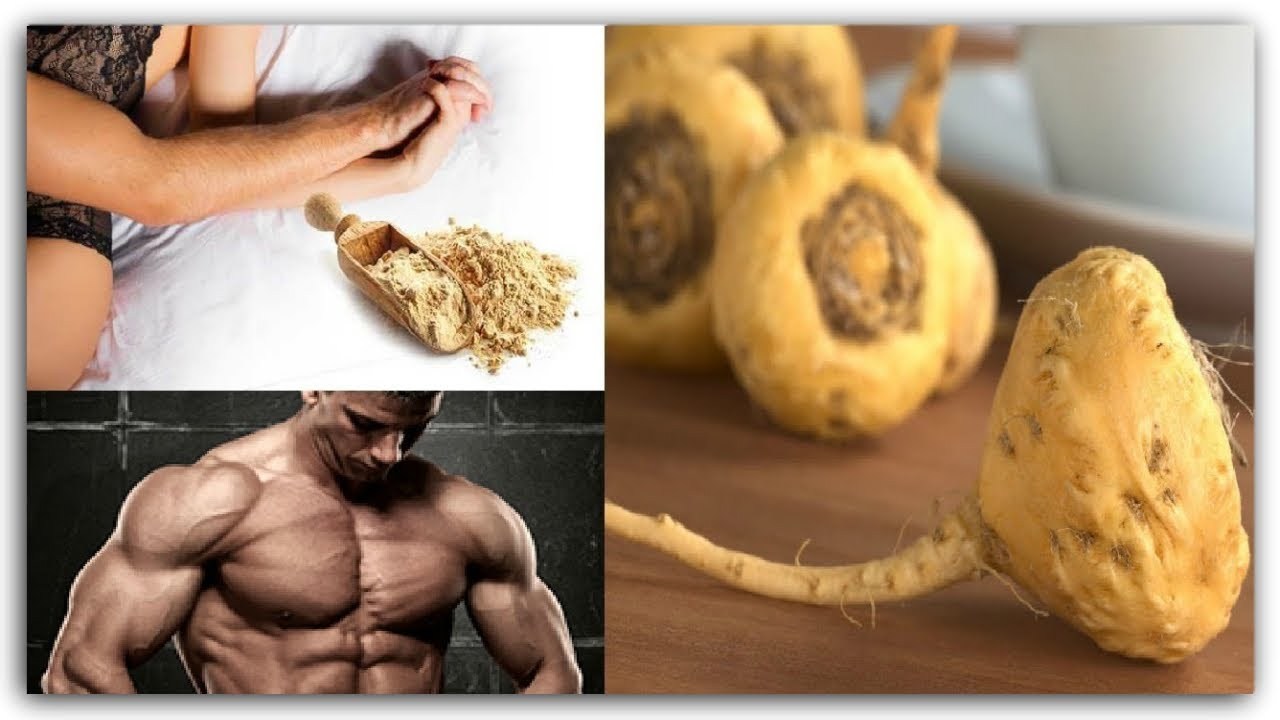 menopause pills – PREMIUM MACA – acts as a natural antioxidan – 2 Bottles