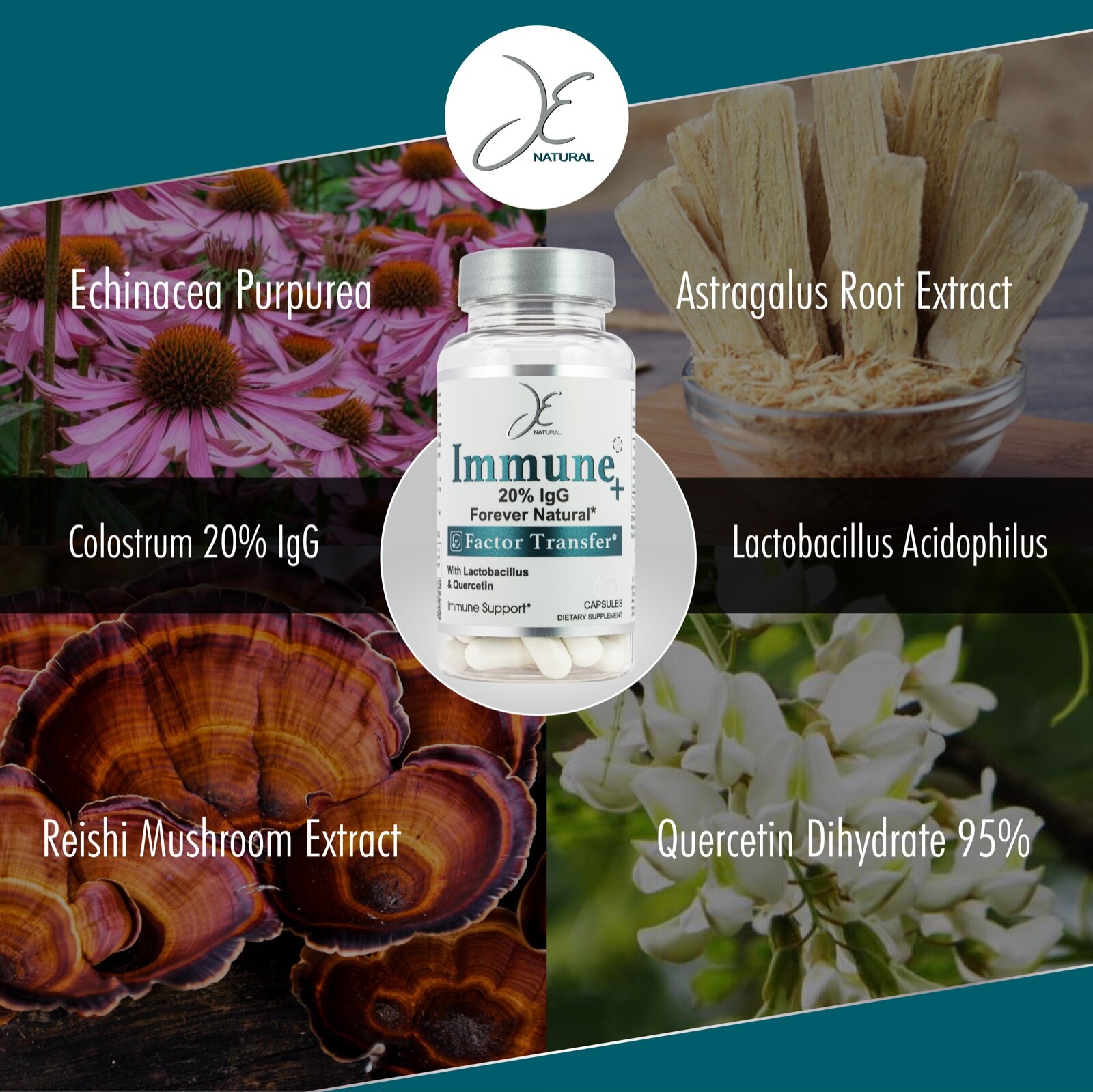 Best Immune System Booster 60 cap Colostrum, Probiotics, Echinacea, Quercetin.