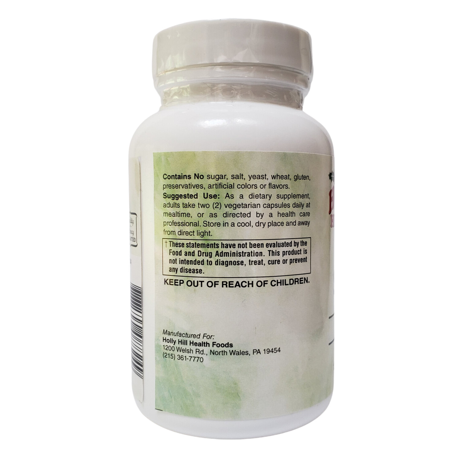 Holly Hill Health Foods, Brain Support, 120 Vegan Capsules