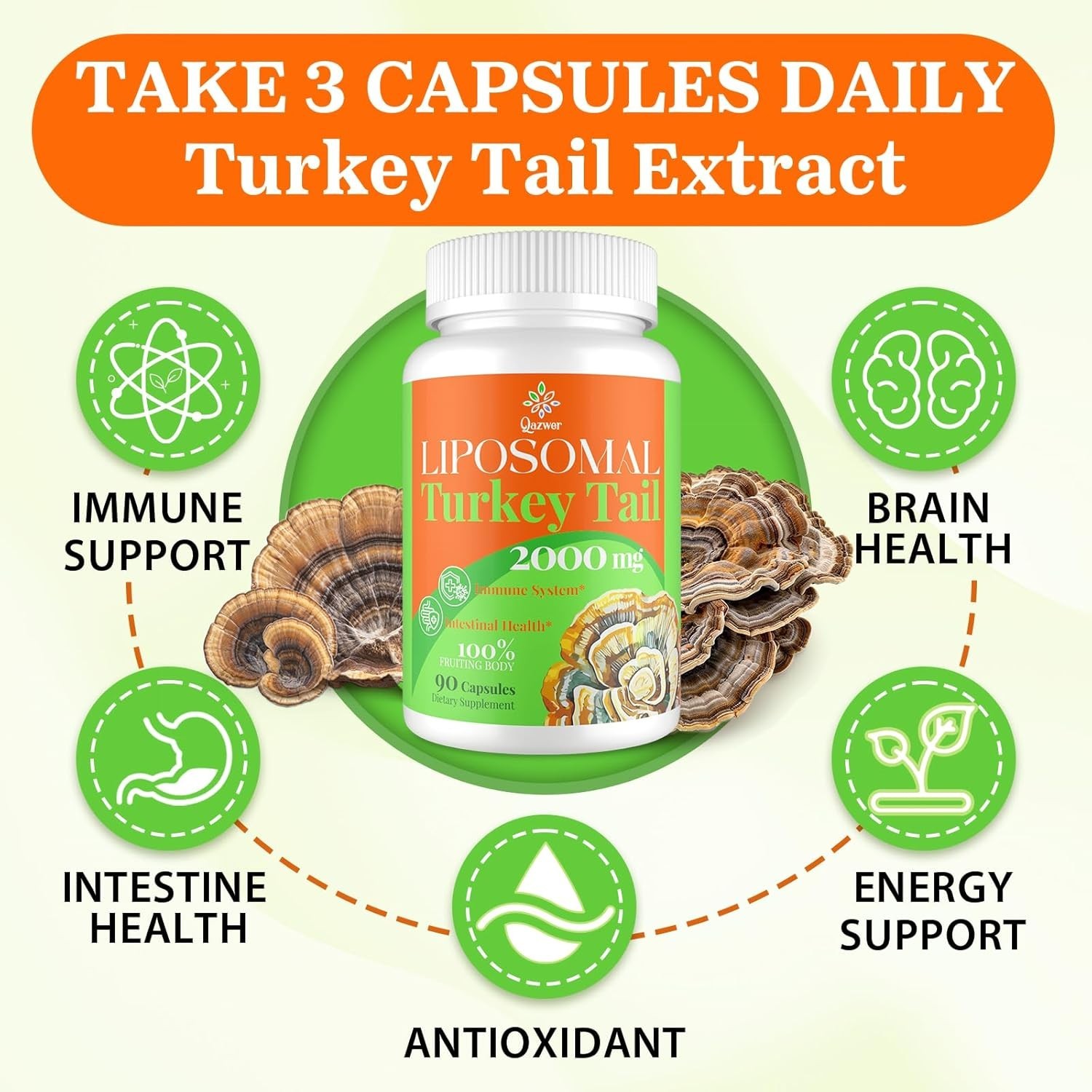 Liposomal Turkey Tail Organic Mushroom Extract Capsules 90 Caps 2000mg- 06/2027