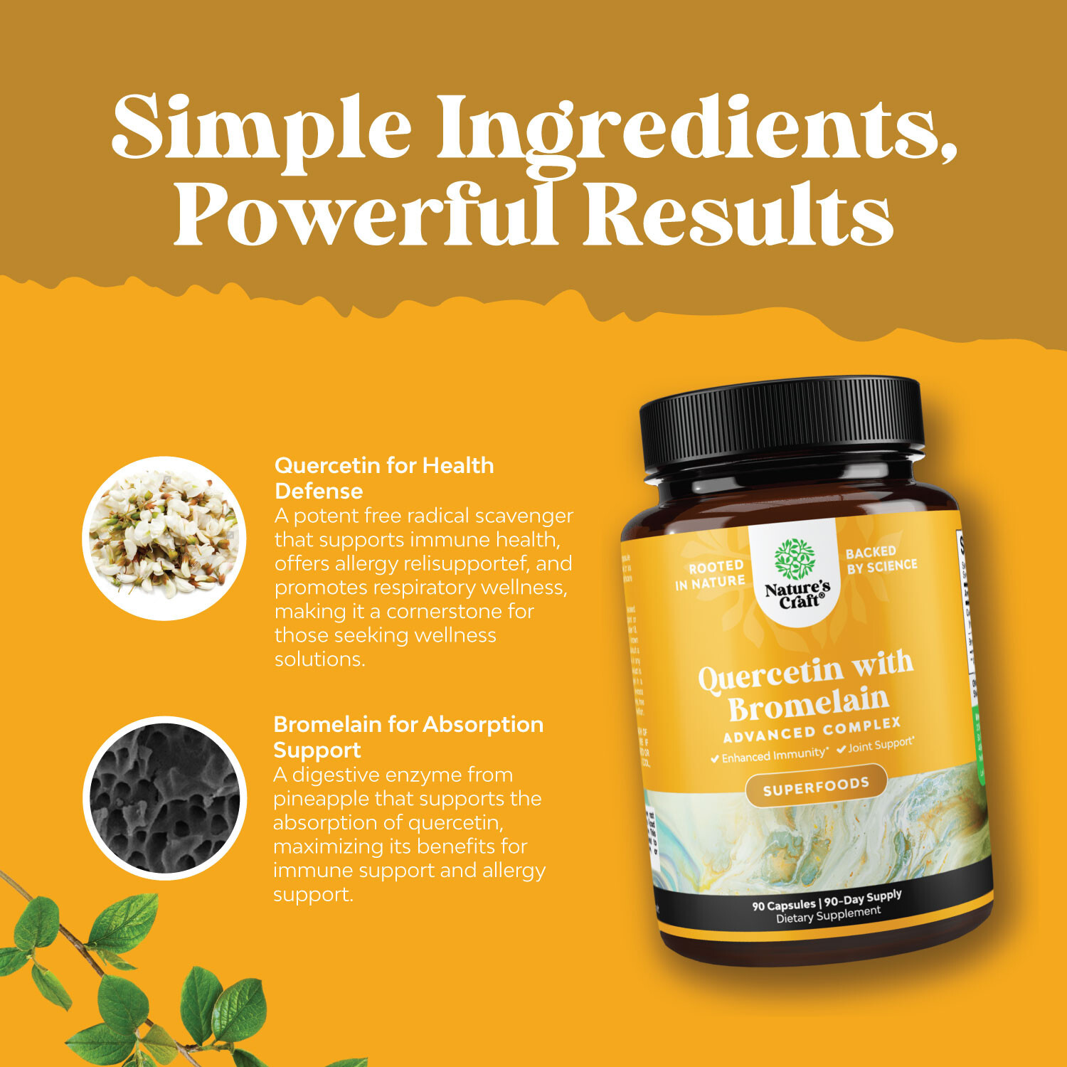 Immune Support Quercetin with Bromelain Supplement Antioxidant Joint Lung Health