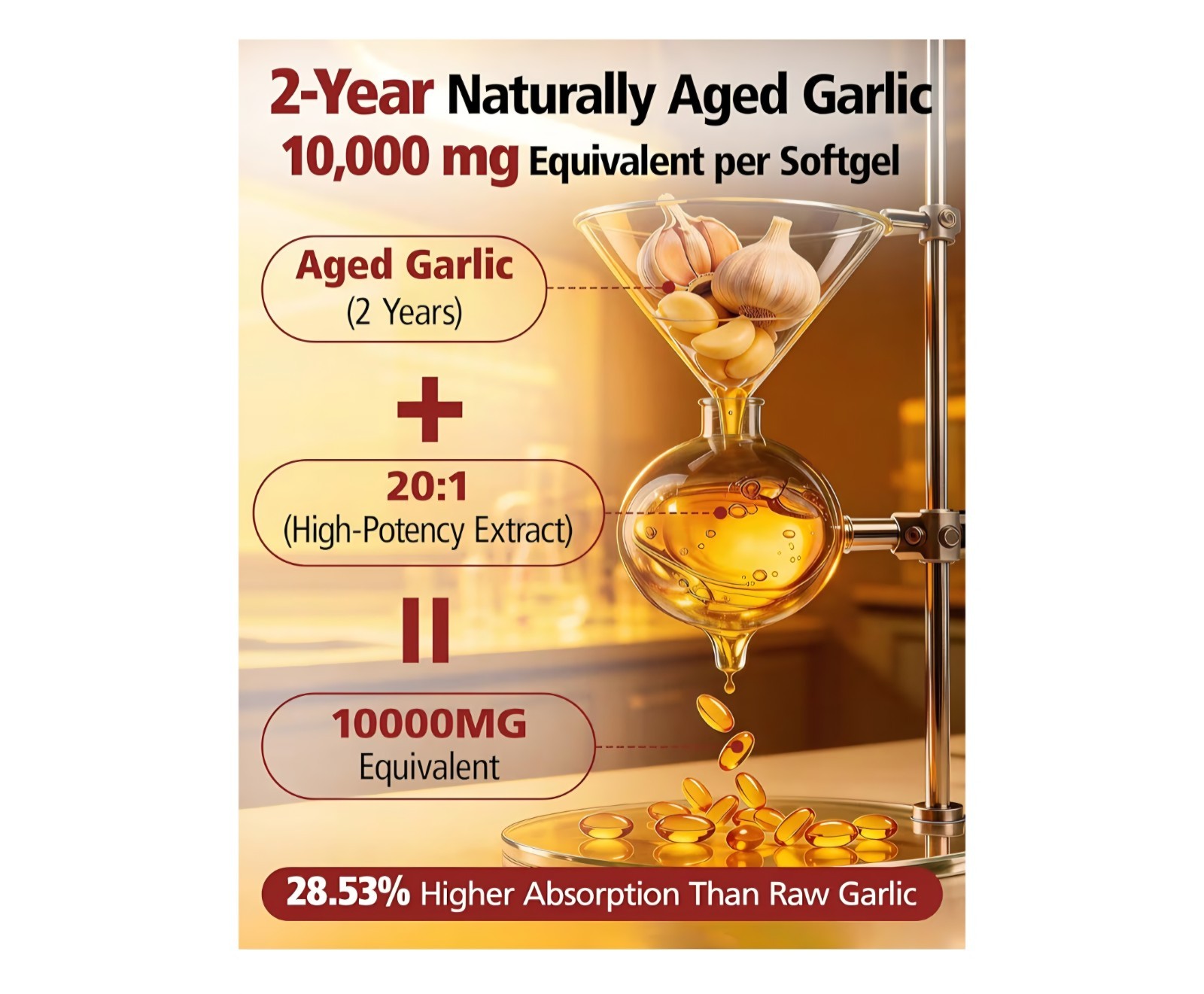 WBS&L Aged Garlic Extract Odorless 500mg Softgels 300 Ct Gluten-Free