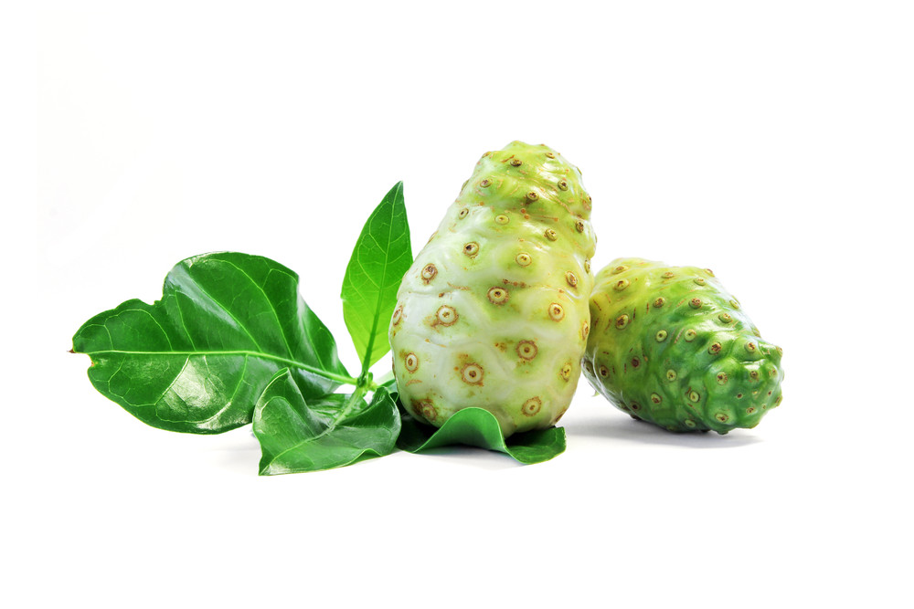 Antioxidant blend supplements – NONI – GRAPE SEED EXTRACT COMBO – noni herbal