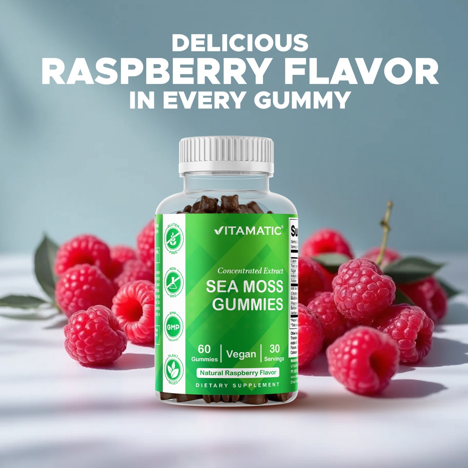 2 Pack Vitamatic Irish Sea Moss Gummies – 3000 mg – 60 Vegan Gummies