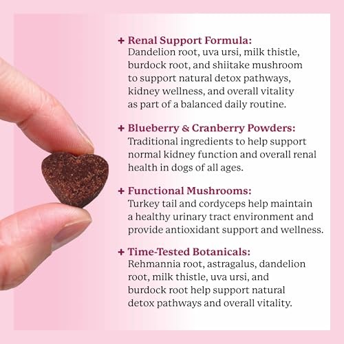 Dr. Harvey’s Kidney Health Soft Chews for Dogs, Urinary Tract & Antioxidant