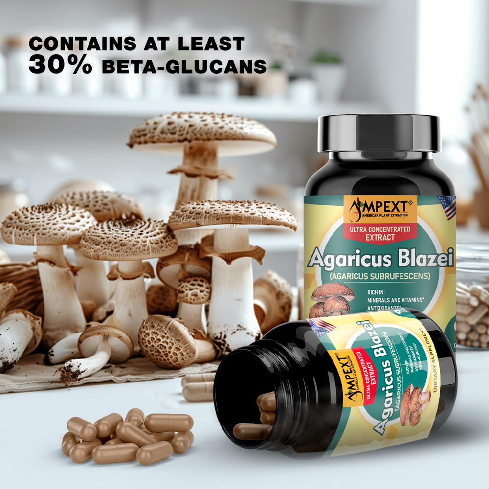 Agaricus Blazei Extract – only Fruiting Bodies, over 30% Beta-Glucans, 90 caps