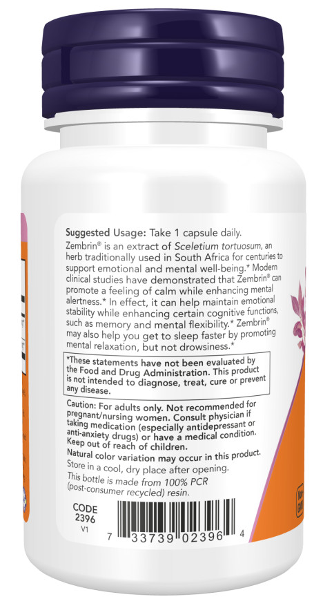 NOW FOODS Calm Focus with Zembrin GABA – 60 Veg Capsules, Cognitive Support
