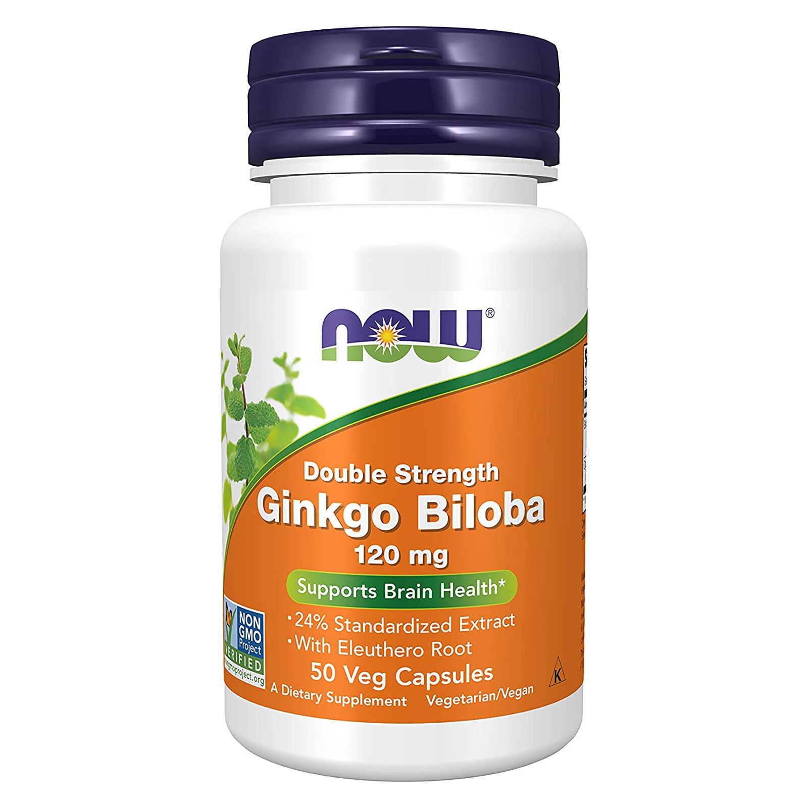 3 x NOW Ginkgo Biloba 120 mg Double Strength Non GMO 50 Veg Caps